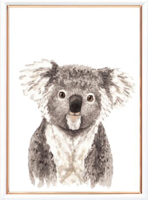 Koala plakat dyreplakat boerneplakat