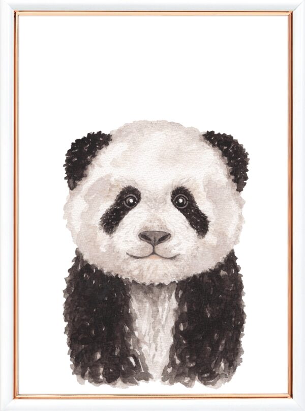 Panda plakat dyreplakat boerneplakat