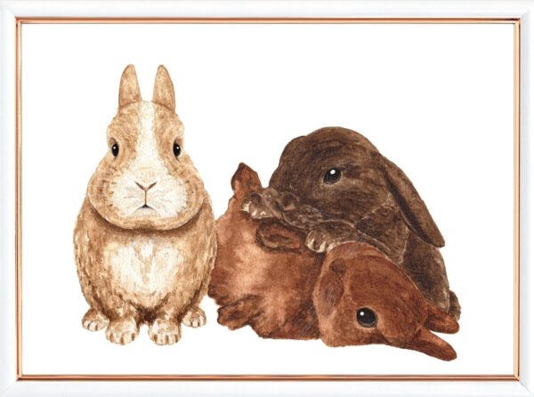 Boerneplakater kaninunge kanin plakat