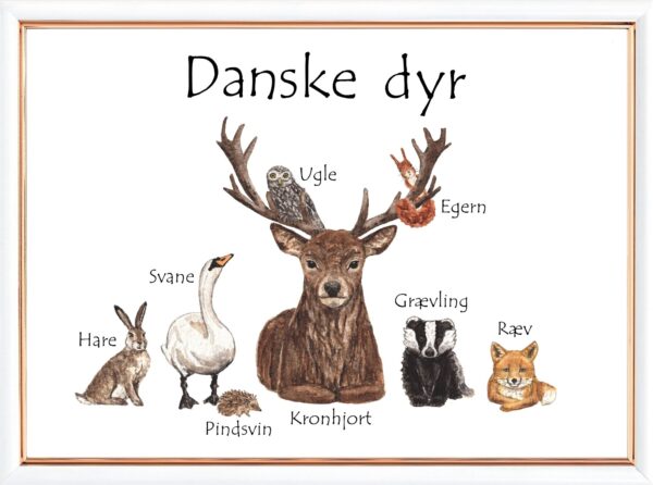 Danske dyr plakat boerneplakat