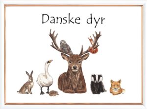 Danske dyr plakat voksen