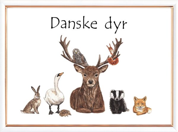 Danske dyr plakat voksen
